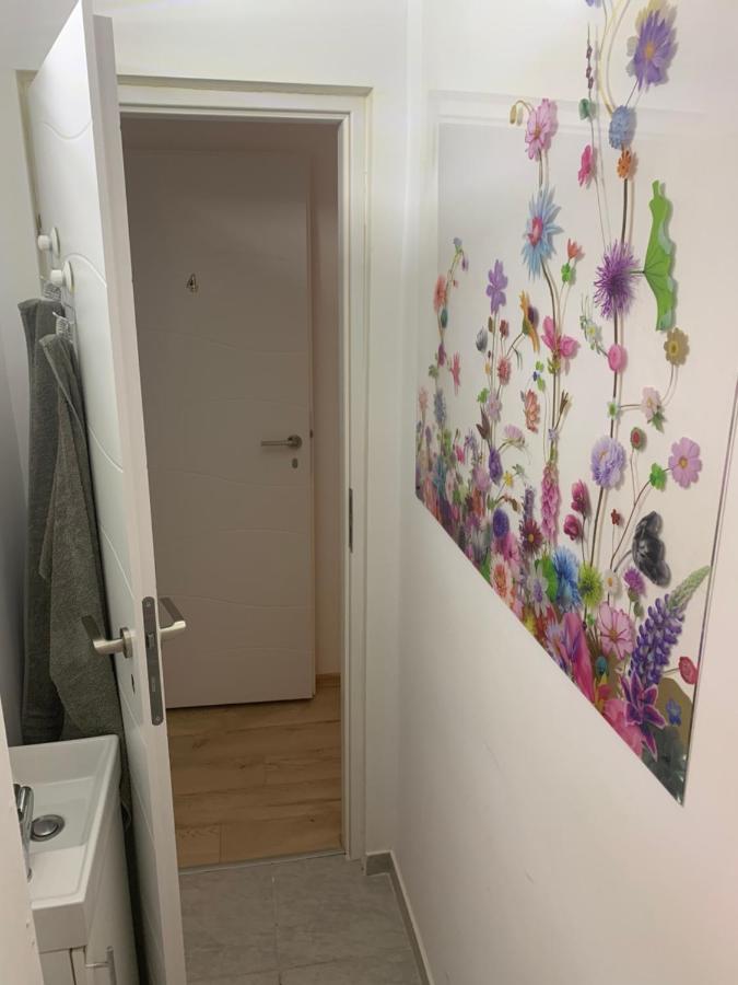 Bucarest B&B Екстер'єр фото